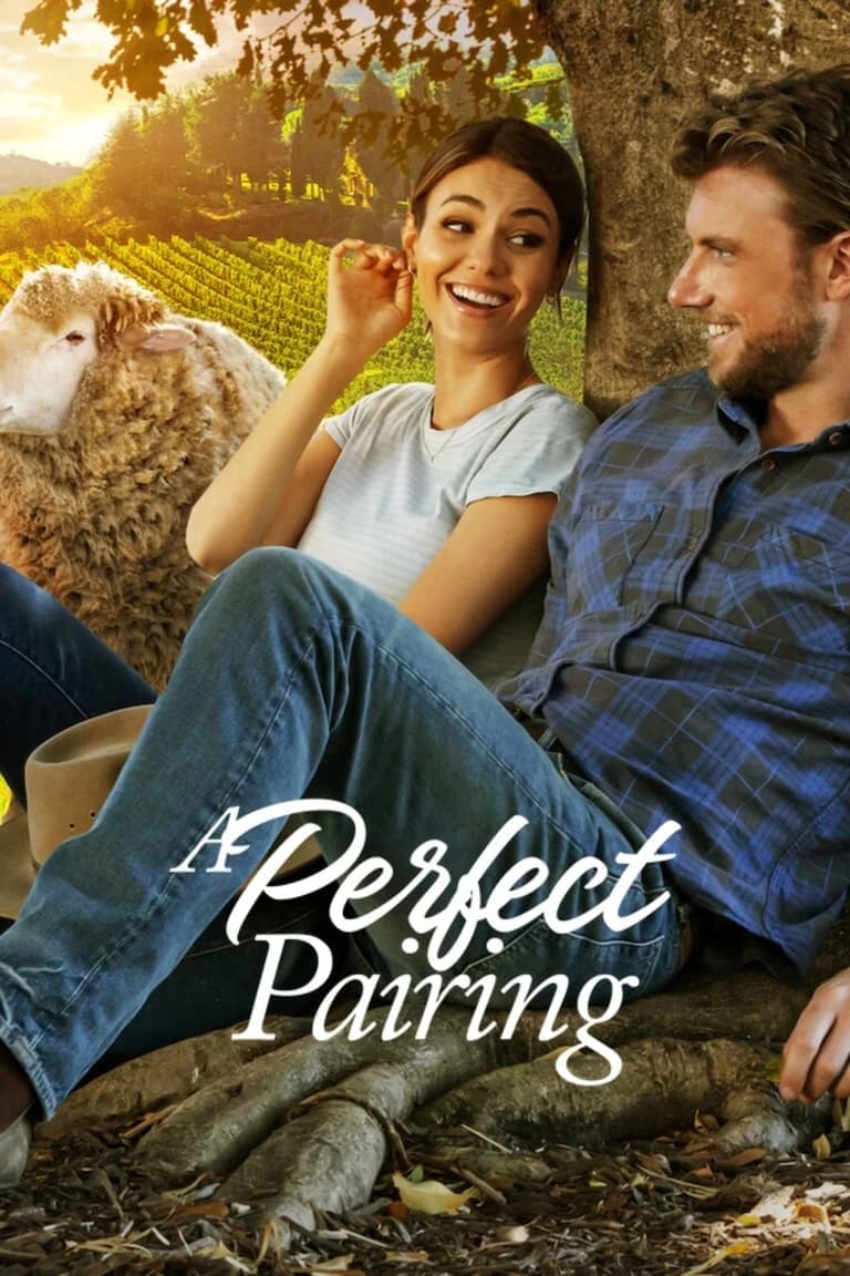 Xem Phim Bộ Đôi Hoàn Mỹ Vietsub HD Online - Rophim