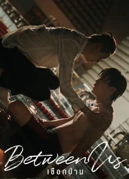 Xem Phim Dây Dầu Gai Vietsub HD Online - Rophim