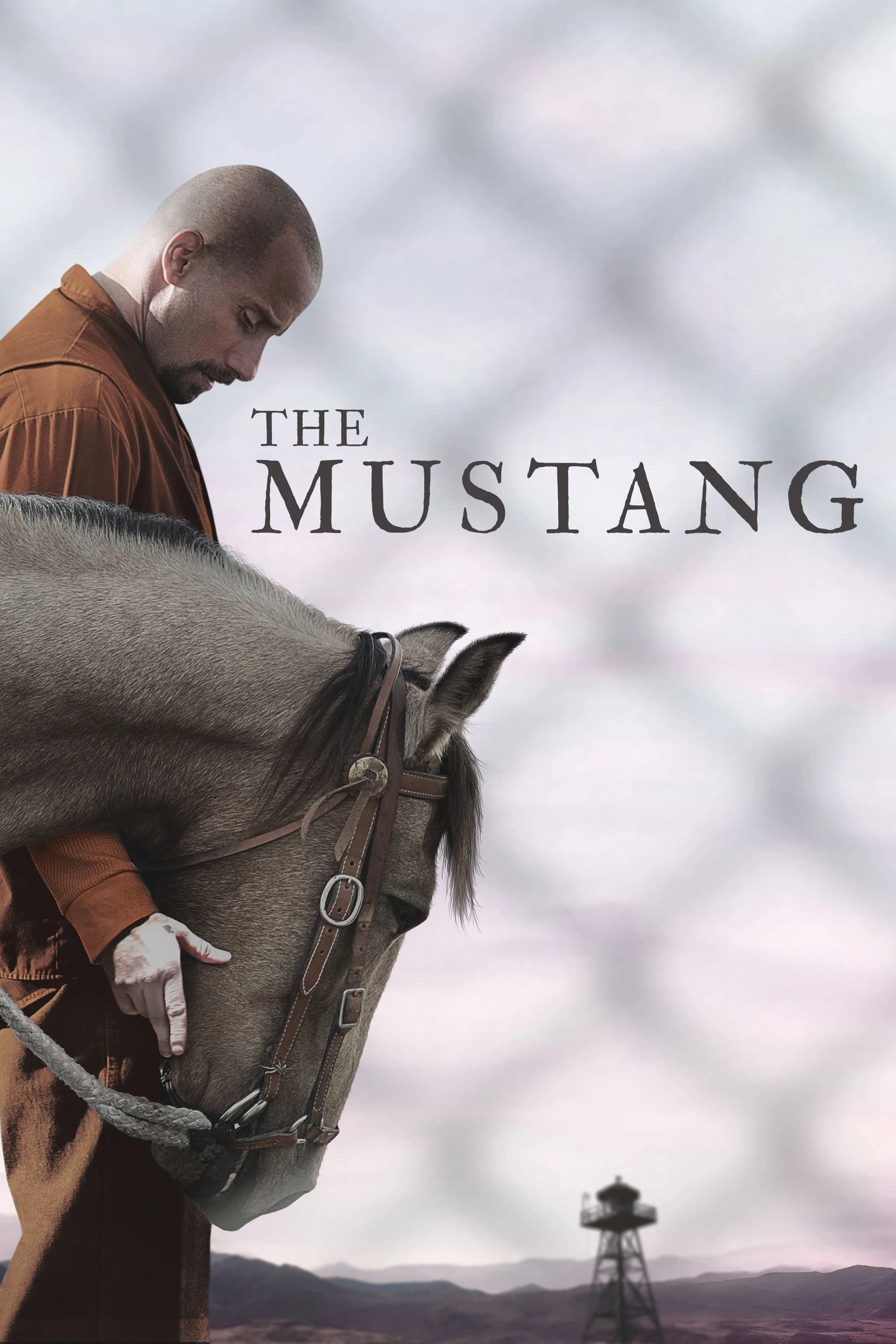 Xem Phim Mustang: Thuần hóa Vietsub HD Online - Rophim
