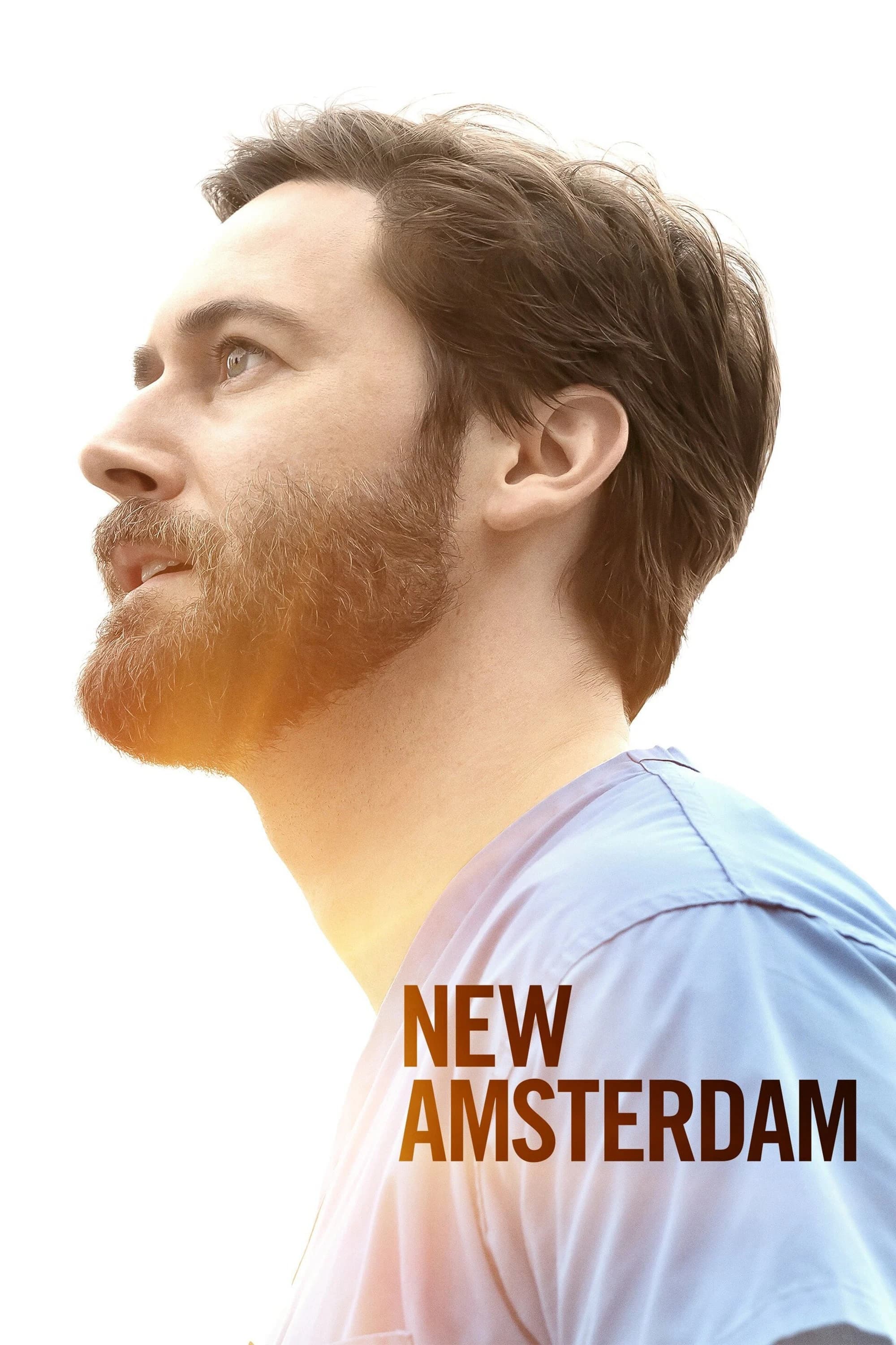 Xem Phim New Amsterdam Vietsub HD Online - Rophim