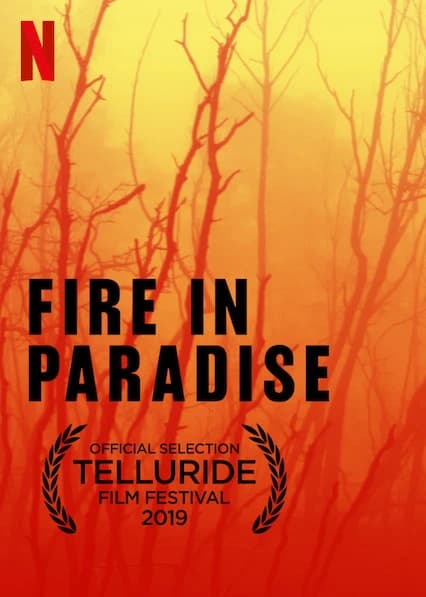 Xem Phim Hỏa Hoạn Tại Paradise Vietsub HD Online - Rophim