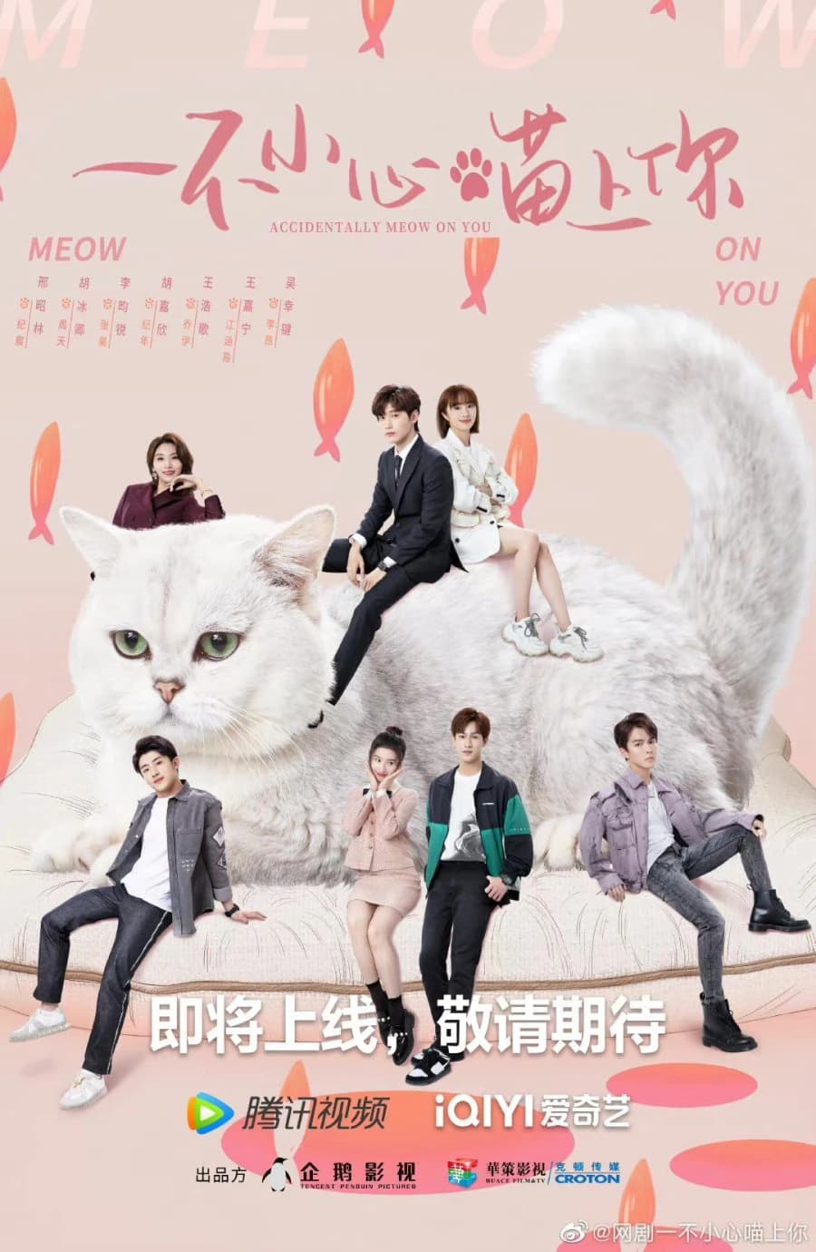 Xem Phim Bất Cẩn Meow Phải Anh Vietsub HD Online - Rophim