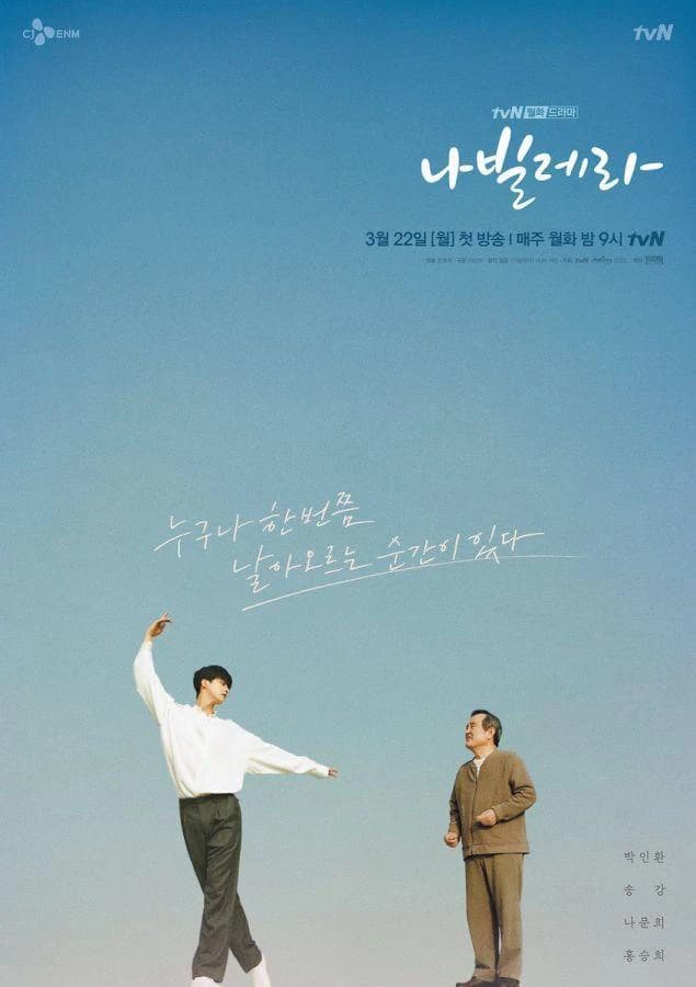 Xem Phim Navillera: Như Cánh Bướm Vietsub HD Online - Rophim
