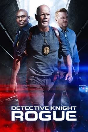 Xem Phim Thám Tử Knight: Giả Mạo Vietsub HD Online - Rophim