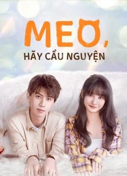 Xem Phim Meo, Hãy Cầu Nguyện Vietsub HD Online - Rophim