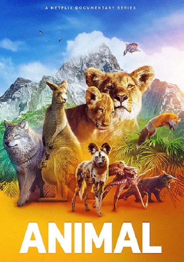 Xem Phim Động Vật Vietsub HD Online - Rophim