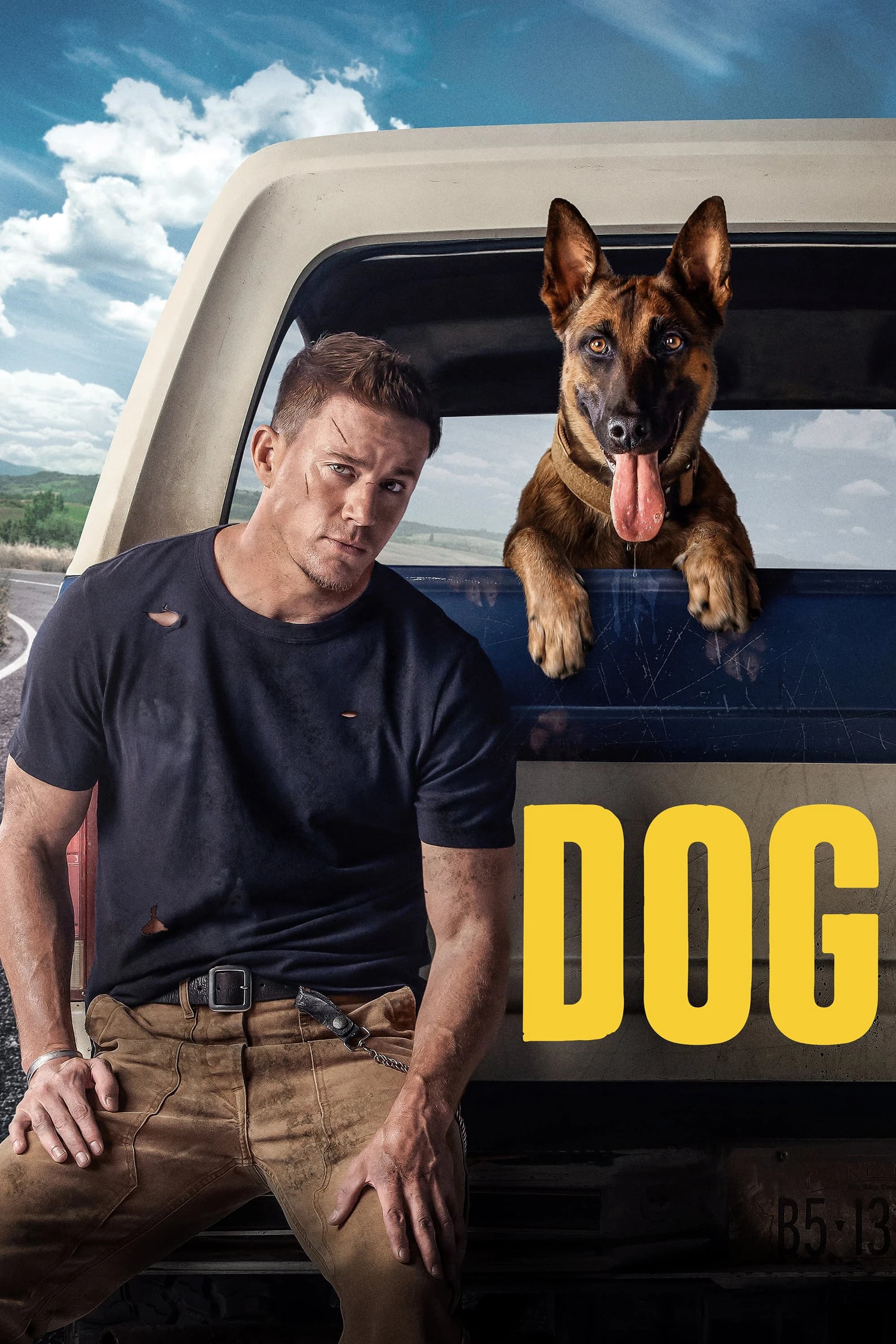 Xem Phim Dog Vietsub HD Online - Rophim