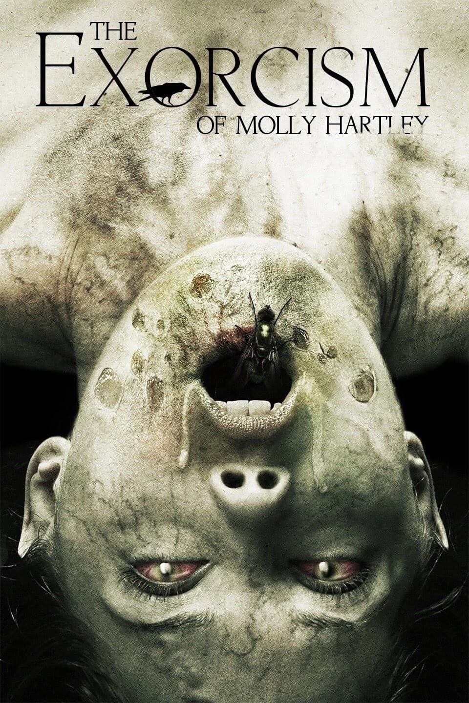 Xem Phim Nỗi Ám Ảnh Của Molly Vietsub HD Online - Rophim
