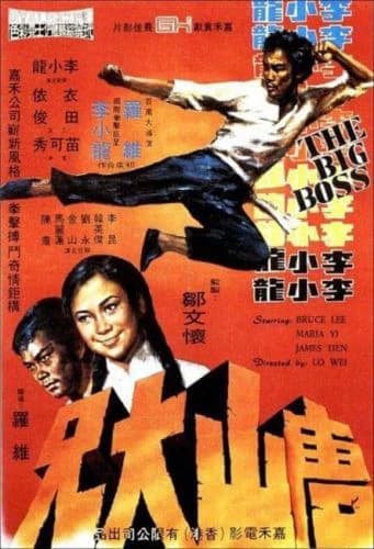 Xem Phim Đường Sơn Đại Huynh Vietsub HD Online - Rophim