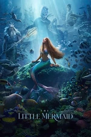 Xem Phim Nàng Tiên Cá Vietsub HD Online - Rophim