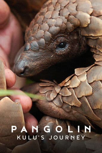 Xem Phim Loài Tê Tê: Hành Trình Của Kulu Vietsub HD Online - Rophim