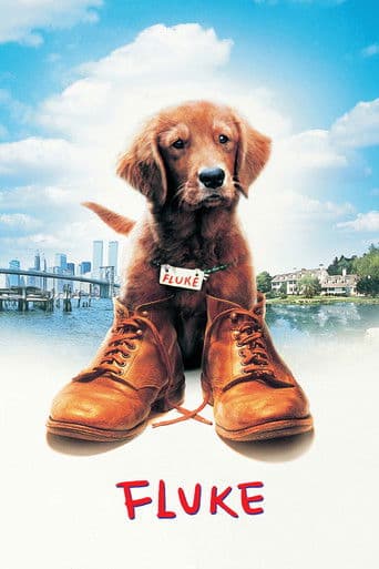 Xem Phim Chú Chó Fluke Vietsub HD Online - Rophim