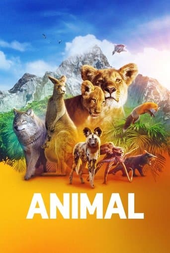 Xem Phim Động Vật Vietsub HD Online - Rophim