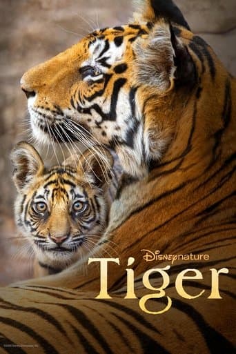 Xem Phim Tiger Vietsub HD Online - Rophim