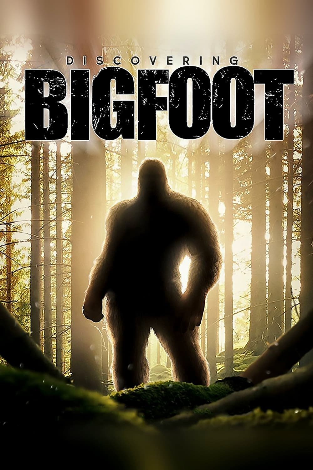 Xem Phim Truy Tìm Bigfoot Vietsub HD Online - Rophim