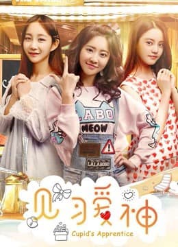 Xem Phim Kiến Tập Ái Thần Vietsub HD Online - Rophim