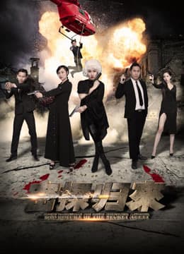 Xem Phim Sự Trở Lại Của Điệp Viên Bí Mật Vietsub HD Online - Rophim