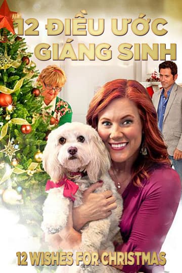 Xem Phim 12 Điều Ước Giáng Sinh Vietsub HD Online - Rophim