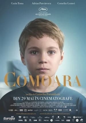 Xem Phim Truy Tìm Kho Báu Vietsub HD Online - Rophim