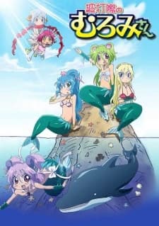 Xem Phim Namiuchigiwa No Muromi-san Vietsub HD Online - Rophim