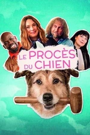 Xem Phim Bị Cáo Một Chú Chó Vietsub HD Online - Rophim