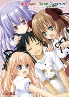 Xem Phim Mayoi Neko Overrun! Specials Vietsub HD Online - Rophim