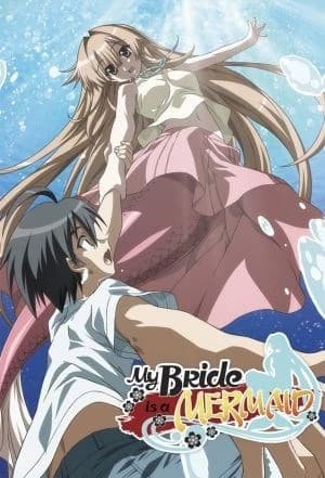 Xem Phim Seto No Hanayome Vietsub HD Online - Rophim