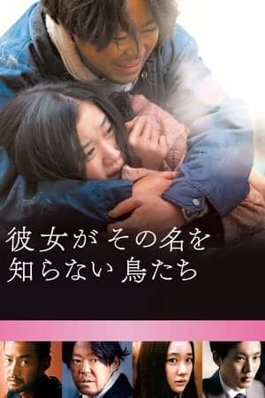 Xem Phim Loài Chim Vô Danh Vietsub HD Online - Rophim